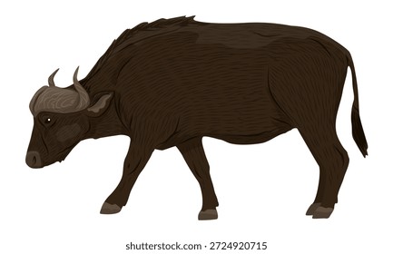 Afrikanischer Büffel. Realistische Vektortiere Afrikas