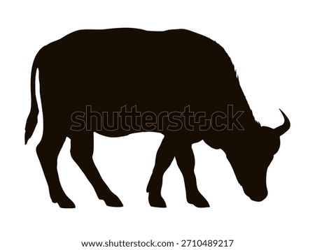 African buffalo silhouette. Realistic vector animal.