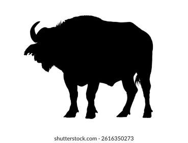 african buffalo silhouette – vector illustration