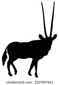 African bull with long horn vector illustration isolated on white background