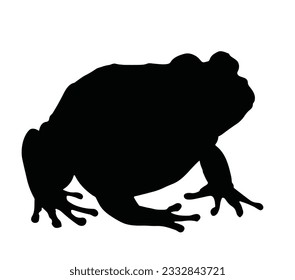 African Bullfrog Black Silhouette Vector Desain