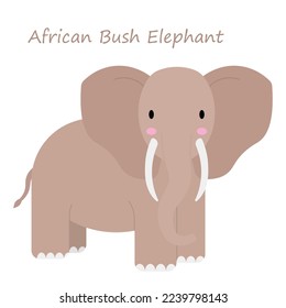 African Bush Elephant (Loxodonta africana africana) cute animal in cartoon style isolated on white background. Vector graphics.