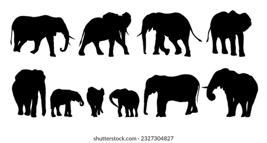 African bush elephant Loxodonta africana silhouette set. Females, males and cubs of the African savanna elephant in different poses. wild animals of africa. Realistic wild vector mammals
