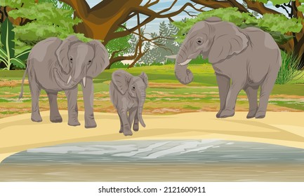 African Bush Elephants family on the shore of a lake in the African savannah with tall grass and tall trees. wild animals of africa. Realistic vector landscape
