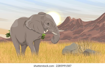 Elefantes de Bush africanos parados en altos pastos secos al pie de una cordillera. Animales salvajes de la sabana africana. Paisaje vectorial realista 