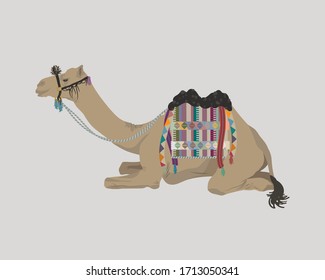 African camel covered with a blanket lying on the ground. Blanket with ethnic ornaments and tassels decorates a camel. 