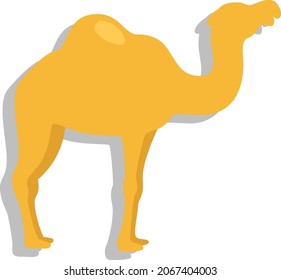 African camel , illustration, vector, on a white background.