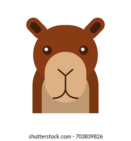 african camel isolated icon