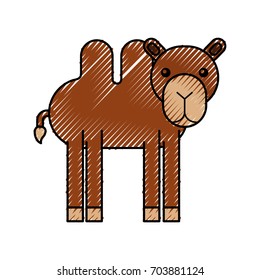 african camel isolated icon