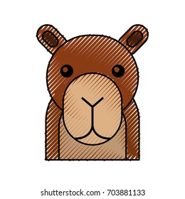 african camel isolated icon