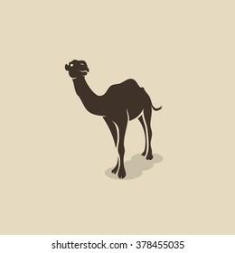 African camel - vector illustration
