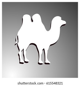 African camel vector illustration