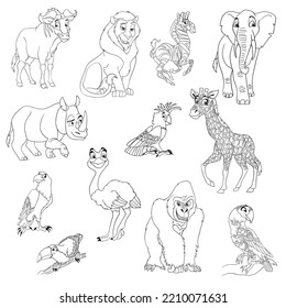 caricatura africana de animales y pájaros coloreando libro en blanco y negro