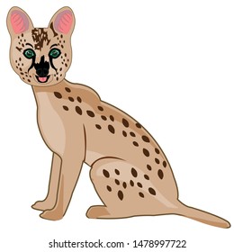 African cat serval on white background is insulated