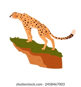 African cheetah standing on a cliff. Cartoon beautiful leopard big wild cat with long tail and black spots. Fastest mammal exotic animal. Vector illustration of savannah predator isolated on white