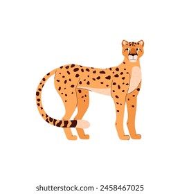 African cheetah standing vector illustration. Cartoon beautiful leopard big wild cat with long tail and black spots. Fastest mammal exotic animal. Savannah predator isolated on white