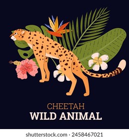 African cheetah standing vector poster. Cartoon beautiful leopard big wild cat with long tail and black spots. Fastest mammal exotic animal. Savannah predator in tropical flowers on black