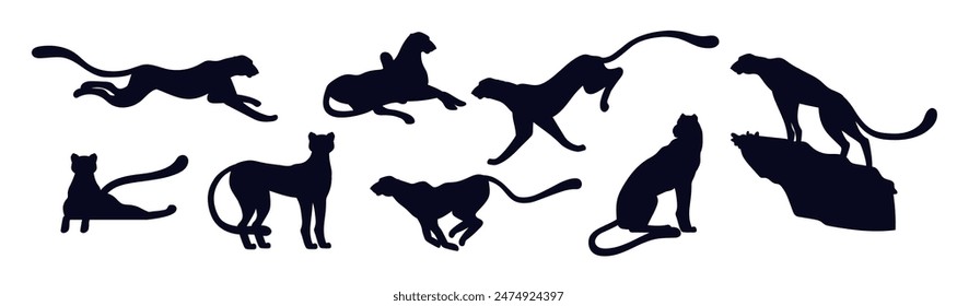 Conjunto de iconos de silueta de varias poses de guepardo africano. Dibujos animados hermoso leopardo gran gato salvaje con cola larga. El animal exótico mamífero más rápido corriendo, cazando Vector en reposo contorno negro. Savannah depredador