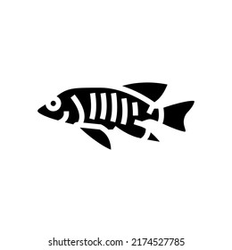 vector de icono del glifo de los cíclicos africanos. signo de los cíclicos africanos. ilustración de símbolo aislado