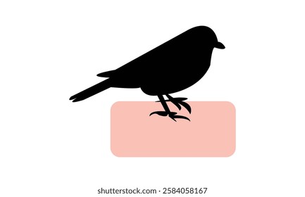 African citril bird Silhouette Design  And Vector Illustration. 