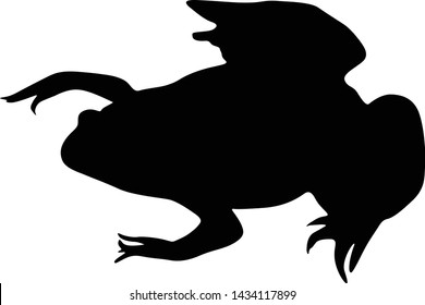 African Clawed Frog Silhouette Isolated On White