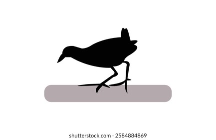 African crake bird Silhouette Design  And Vector Illustration. 