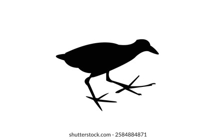 African crake bird Silhouette Design  And Vector Illustration. 
