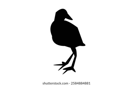 African crake bird Silhouette Design  And Vector Illustration. 