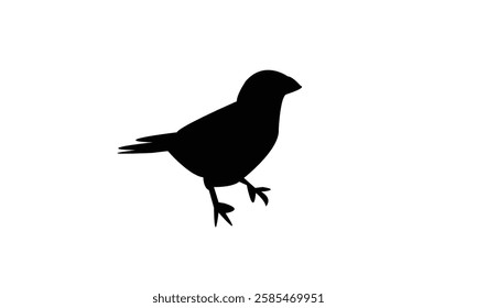 African crimson winged finch bird Silhouette Design  And Vector Illustration. 