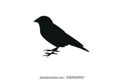 African crimson winged finch bird Silhouette Design  And Vector Illustration. 