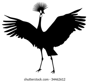 african crowned crane