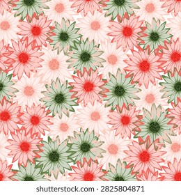 African daisy cute summer seamless pattern. Osteospermum bloom with transparent petals. Creative garden flowers fabric design. Feminine botanical rapport.