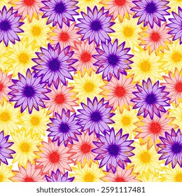 African daisy pretty summer repeat rapport. Sunflower blossom with transparent petals. Decorative garden flowers vector wallpaper. Subtle botanical background.