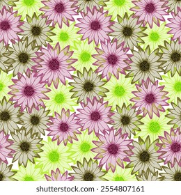 African daisy pretty vector repeat rapport. Sunflower bloom with transparent petals. Decorative garden flowers textile print. Subtle floral ornament.