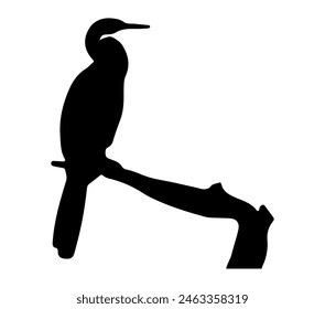 African Darter vector illustration on white background.