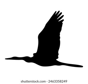 Afrikanischer Darter. Vektorgrafik Bild. Weißer Hintergrund.