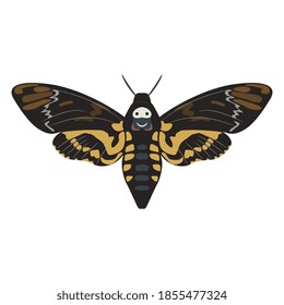 African death's head hawkmoth butterfly. Acherontia atropos. Isolated vector illustration. 
