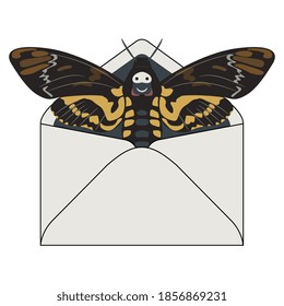 African death's head hawkmoth butterfly inside paper envelope. Acherontia atropos. Creative insect concept.