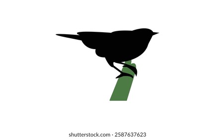 African desert warbler bird Silhouette Design  And Vector Illustration. 