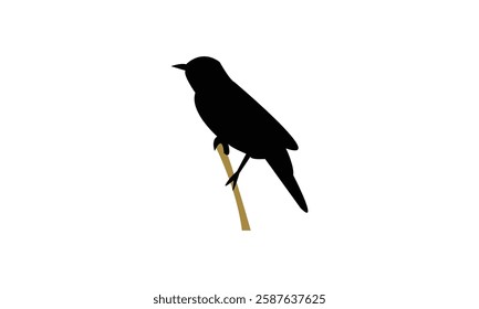 African desert warbler bird Silhouette Design  And Vector Illustration. 