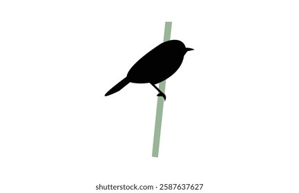 African desert warbler bird Silhouette Design  And Vector Illustration. 