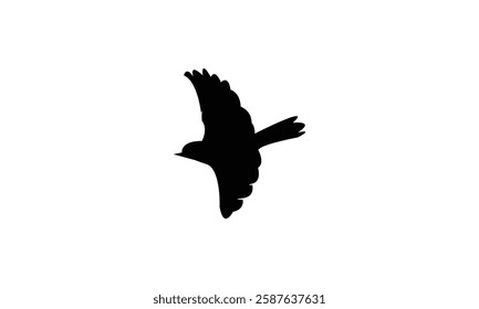 African desert warbler bird Silhouette Design  And Vector Illustration. 