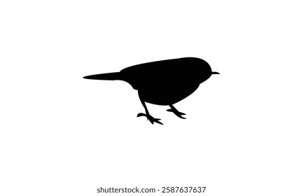 African desert warbler bird Silhouette Design  And Vector Illustration. 