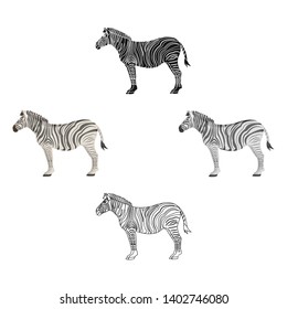 African, desert zebra. Wild cloven-hoofed animal, zebra single icon in cartoon,black style vector symbol stock illustration web.