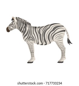 African, desert zebra. Wild cloven-hoofed animal, zebra single icon in cartoon style vector symbol stock illustration web.