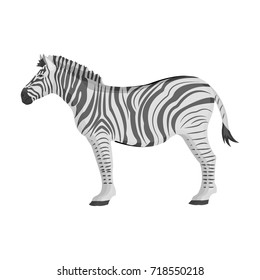 African, desert zebra. Wild cloven-hoofed animal, zebra single icon in monochrome style vector symbol stock illustration web.