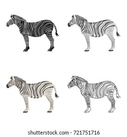 African, desert zebra. Wild cloven-hoofed animal, zebra single icon in cartoon style vector symbol stock illustration web.