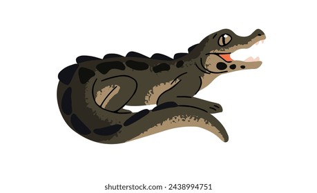 African dwarf crocodile. Cute baby alligator, cub of caiman. Small exotic river beast, little water reptile, amphibian animal. Swamp fauna. Flat isolated vector illustration on white background
