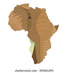 African Elephant