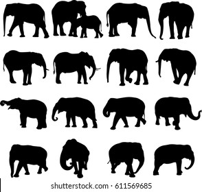 African elephant and Asian elephant silhouette contour